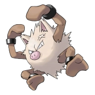 포켓몬 망키 연관 포켓몬 57