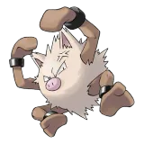 pokemon_id_57 성원숭