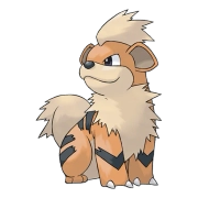 포켓몬 윈디 연관 포켓몬 58