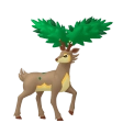 바라철록 여름