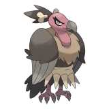 pokemon_id_630 버랜지나 