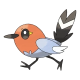 pokemon_id_661 화살꼬빈 