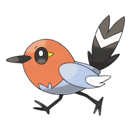 포켓몬 불화살빈 연관 포켓몬 661