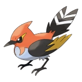 pokemon_id_662 불화살빈 