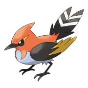 포켓몬 화살꼬빈 연관 포켓몬 662