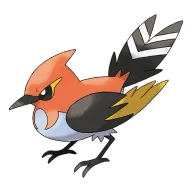 포켓몬 화살꼬빈 연관 포켓몬 662