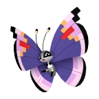 비비용_우아한 모양