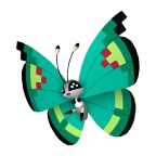 비비용_정원의 모양