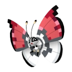 비비용_볼의 모양