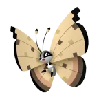 비비용_모래먼지의 모양