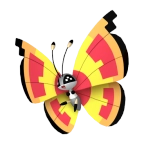 비비용_태양의 모양