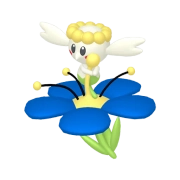 플라베베_파란 꽃