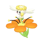 플라베베_오렌지 꽃