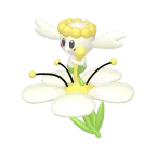 플라베베_하얀 꽃