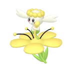 플라베베_노란 꽃