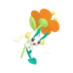 플라엣테_오렌지 꽃