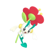 플라엣테_빨간 꽃