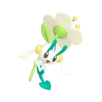 플라엣테_하얀 꽃