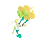 플라엣테_노란 꽃