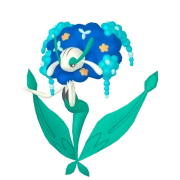 플라제스_파란 꽃