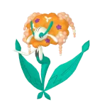 플라제스_오렌지 꽃