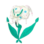 플라제스_하얀 꽃