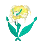 플라제스_노란 꽃