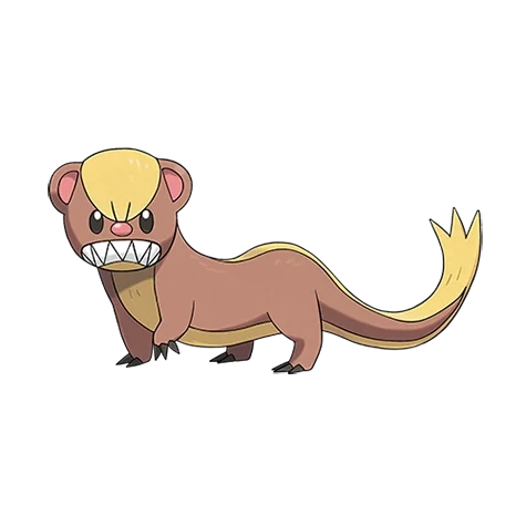 노말 타입 포켓몬 영구스의 이미지