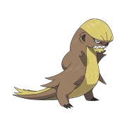 포켓몬 영구스 연관 포켓몬 735