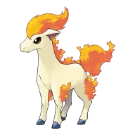 포켓몬 날쌩마 연관 포켓몬 77