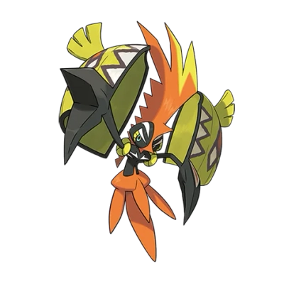 전기/페어리 타입 포켓몬 카푸꼬꼬꼭의 이미지