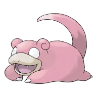 포켓몬 야도란 연관 포켓몬 79