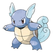 포켓몬 꼬부기 연관 포켓몬 8