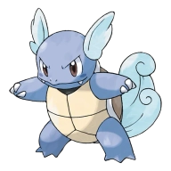 포켓몬 거북왕 연관 포켓몬 8