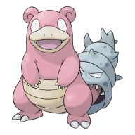 포켓몬 야돈 연관 포켓몬 80