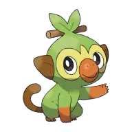 포켓몬 채키몽 연관 포켓몬 810