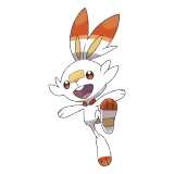 pokemon_id_813 염버니 