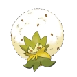 백솜모카