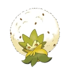 백솜모카