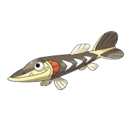 포켓몬 꼬치조 연관 포켓몬 846