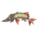 포켓몬 꼬치조