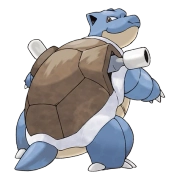 포켓몬 꼬부기 연관 포켓몬 9