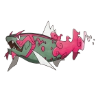 pokemon_id_902
