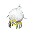 타랜툴라