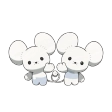 두리쥐