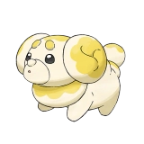 pokemon_id_926 쫀도기 