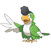 시비꼬_그린 페더