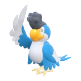 pokemon_id_931 시비꼬 시비꼬_블루 페더