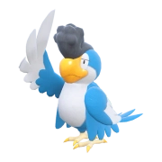 시비꼬_블루 페더