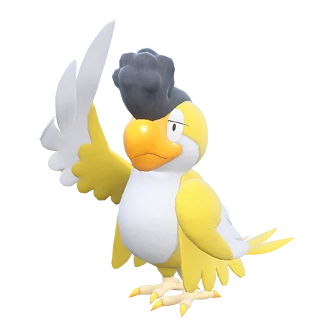 노말/비행 타입 포켓몬 시비꼬의 이미지